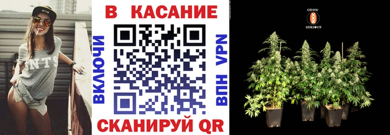 Где можно купить наркотики Берёзовка COCAIN  АМФЕТАМИН  Канабис  APVP 