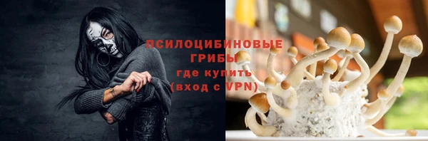 бошки Пестово
