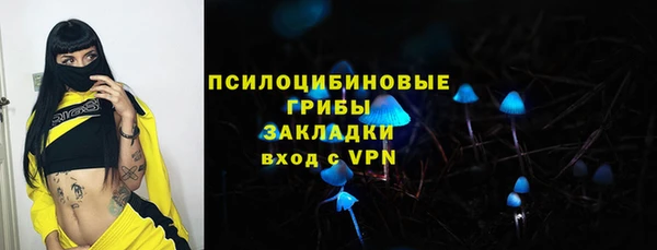 бошки Пестово