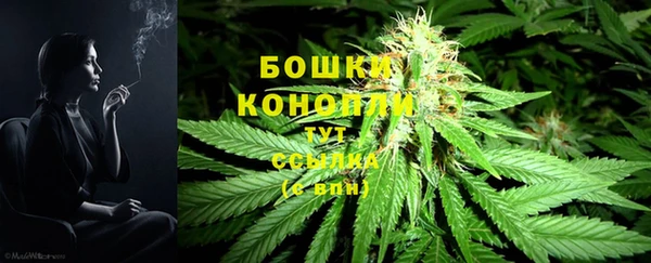 бошки Пестово