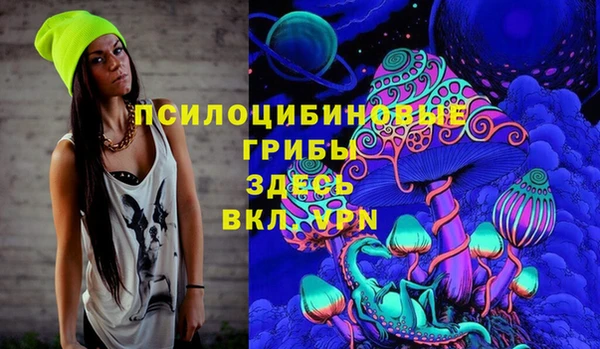 бошки Пестово