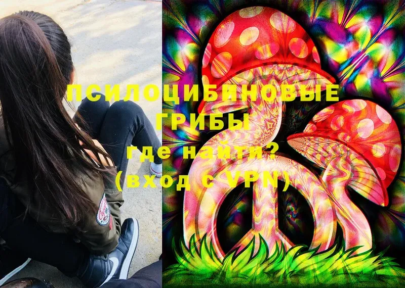 Галлюциногенные грибы Psilocybine cubensis  Берёзовка 